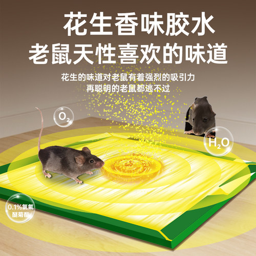 超强力粘鼠板捉粘大老鼠贴沾胶抓灭鼠老鼠贴超强杀鼠家用捕鼠神器 - 图1