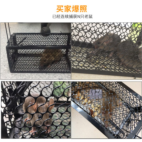 捕鼠笼抓老鼠笼子捕鼠器除鼠捕鼠神器室内超强家用鼠笼高效捉耗子 - 图2