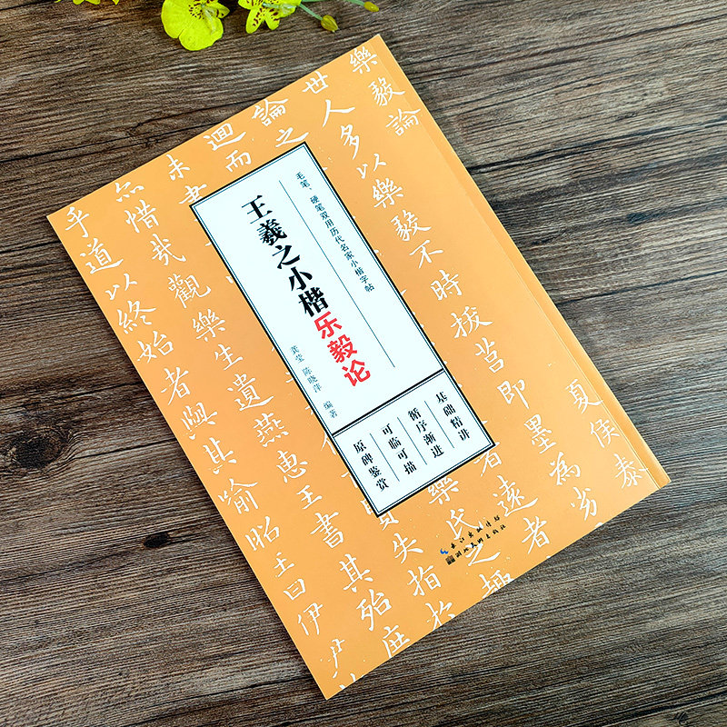 【旗舰正版】王羲之小楷乐毅论 毛笔硬笔双用历代名家小楷字帖 柳体楷书软笔钢笔书法描红字帖 初学者基础入门教程临摹练字本书籍,淘宝优惠券,粉丝福利购,淘宝优惠卷