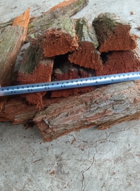胡蜂筑巢材料杉树皮黄脚马蜂红娘养殖专用红桉树皮朽木很厚5斤