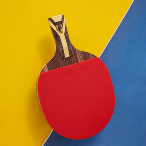 红双喜官方旗舰店 乒乓球拍九星级单拍狂飚9星专业级横拍直拍成品