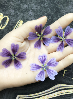 锦葵花押植物标本diy滴胶手机壳