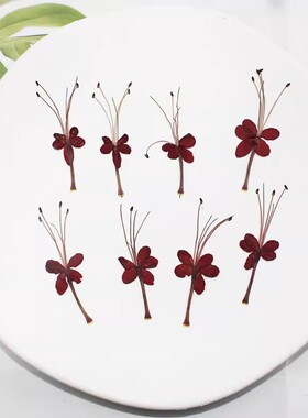 小意思干花压花滴胶押花优惠