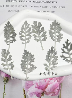叶菊干花滴胶手机壳儿童美甲