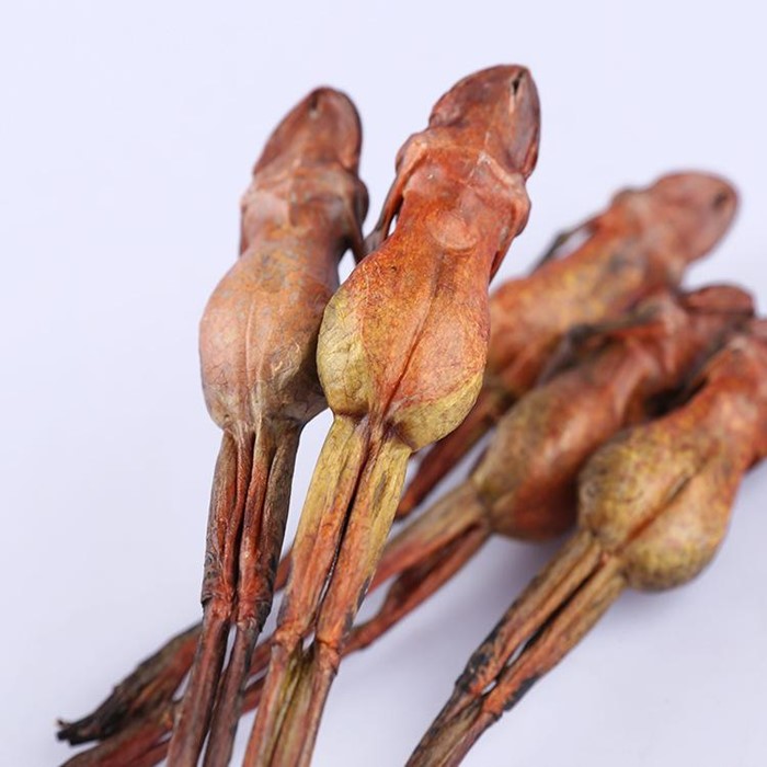 杉松土特产林蛙油雪蛤干长白山特产林蛙干整只蛤蟆干正品干货 一件包邮3