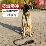 Dog P Цепная светодиодная расширение веревки P веревки и кассиры, большой взрыв собак -промывка промывки плюс длинные веревки для собак
