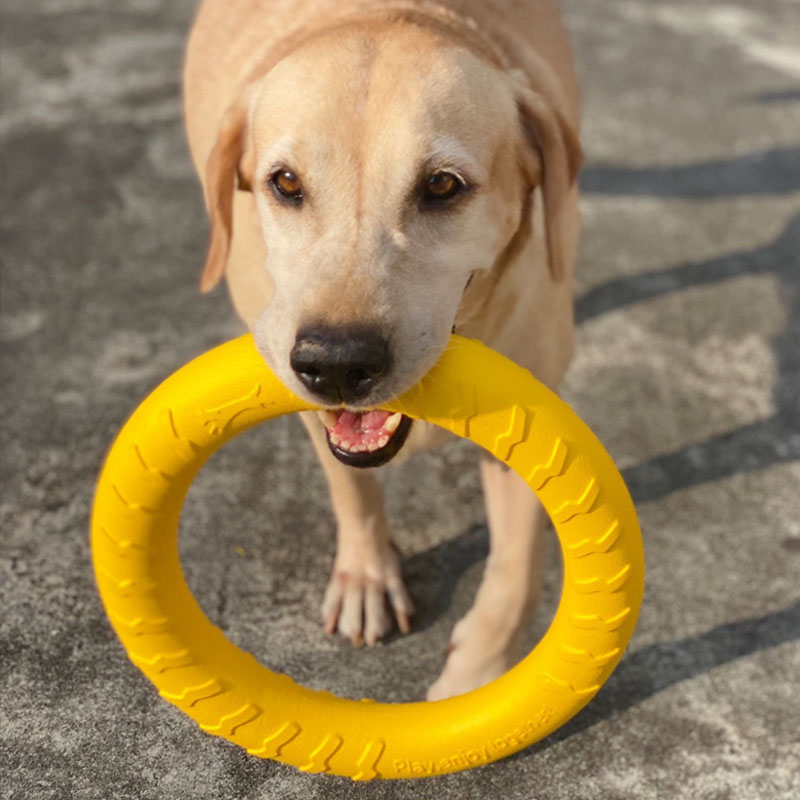 狗狗玩具球耐咬磨牙中大型犬马犬德牧拉布拉多犬训狗用品解闷神器 - 图2