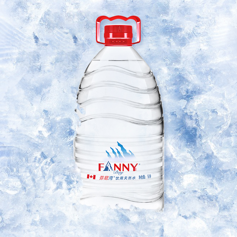 芬尼湾旗舰店加拿大芬尼湾 冰川进口天然饮用水5L*4桶家庭装弱碱矿泉水大桶2