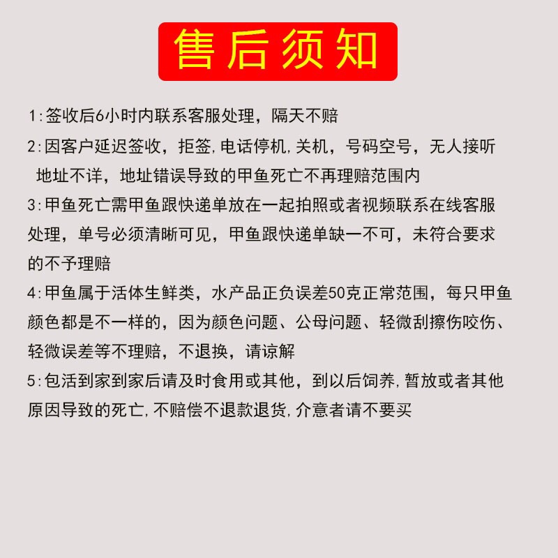 鲜活食用大甲鱼公活体水鱼中华鳖团鱼王八乌龟卤味麻辣小甲鱼苗小-图2