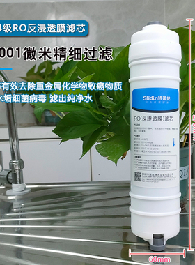 诗蒂伦净水器滤芯纯净水直饮水