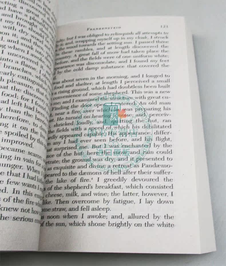 预售英文原版小说frankenstein 科学怪人弗兰克斯坦英文版经典名著文学小说玛丽雪莱mary Shelley 进口英语书籍