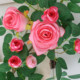 Butterfly Dance Ruyi Rose Wall Hanging Flower Leafy Mao Internet Celebrity