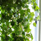 Simulated ivy wall hanging decorative plastic hanging basket with green leaves