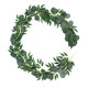Simulation simulation leaves Eucalyptus willow forest theme