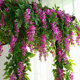 Butterfly dance simulation wisteria flowers over glue leaves and flowers encrypted