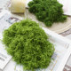 Simulated moss turf micro landscape layout ornaments