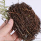 Handmade highly simulated bird nest photo props and ornaments