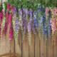 Butterfly dancing simulation giant wisteria internet celebrity landscaping good thing
