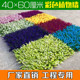 Plastic plant wall decoration colorful Milanese eucalyptus