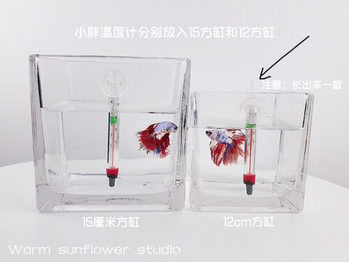 水族鱼缸温度计贴片乌龟缸测水温计小胖温度计 - 图2