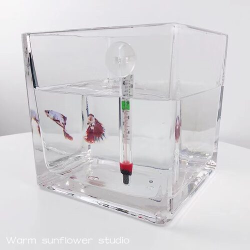 水族鱼缸温度计贴片乌龟缸测水温计小胖温度计 - 图0