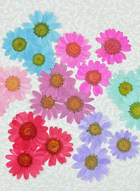 聪明谷手工教室INS风压花干花