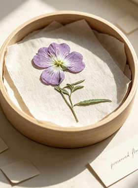 花未落月见花中草药植物标本压花