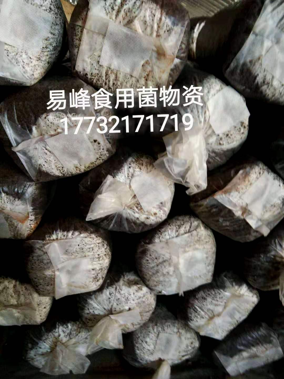 47透气贴食用菌平菇木耳香菇接种封口超透气胶带粘性好防虫可开票 - 图2