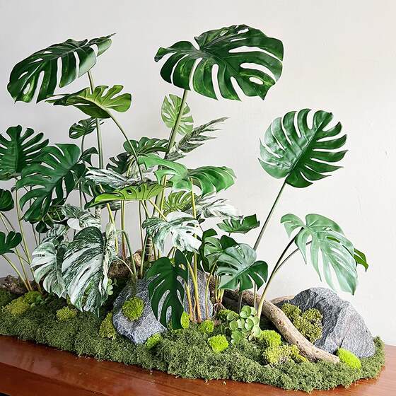 New simulated turtle leaf desktop potted plant Terilihui
