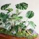 New simulated turtle leaf desktop potted plant Terilihui