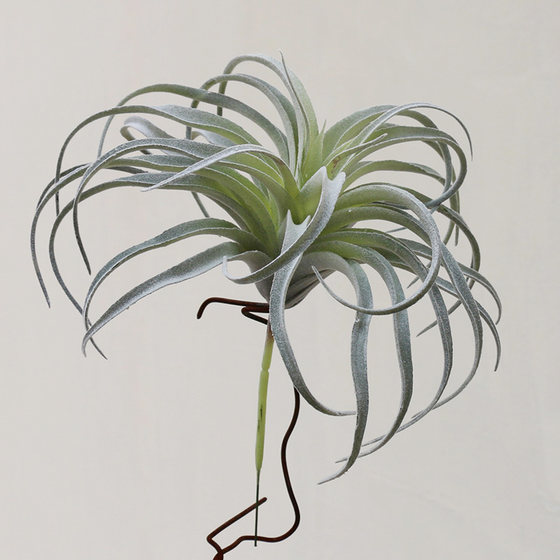 Simulated air wall decoration floral desert plants