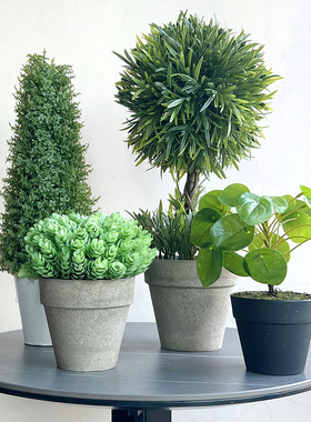 欧版仿真桌面小绿植特丽卉