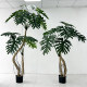 Simulated dragon scale spring taro large floor-standing simulated green plant