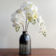 Floral Art Simulation Phalaenopsis Potted Terilihui