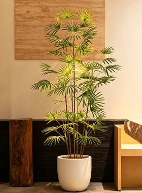 仿真金山棕竹盆景室内中式禅意装饰绿植盆栽家用客厅办公室摆件