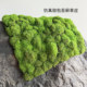 Simulated immortalized moss Zen landscaping
