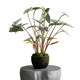 Simulated fake trees, colorful leaves, green plants, multi-fork handles, fairy taro and fruit taro potted plants, indoor landscaping decoration, flower arrangements