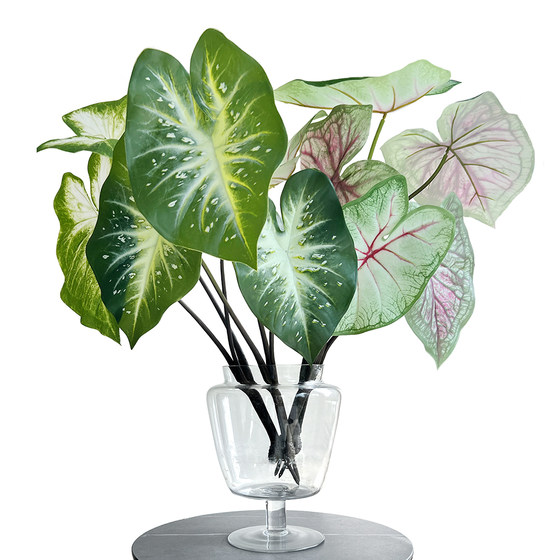 Simulated hand-feeling calla lily leaves, colorful taro leaves, green plants
