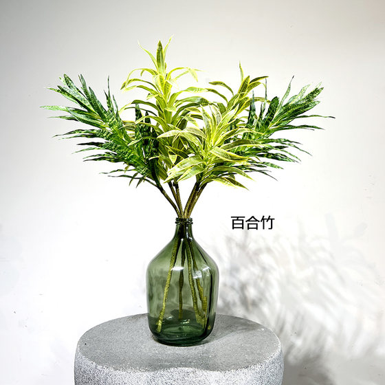 Terihui simulated single-leaf lily, bamboo and bean green