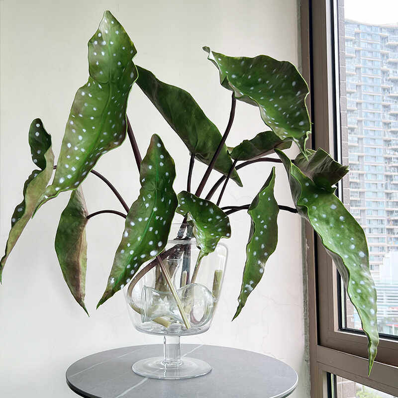 仿真单支PU手感叶片海芋滴水观音龟背彩色叶禅意现代花艺绿植摆设,淘宝优惠券,粉丝福利购,淘宝优惠卷
