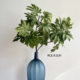 Terihui simulated single-leaf lily, bamboo and bean green