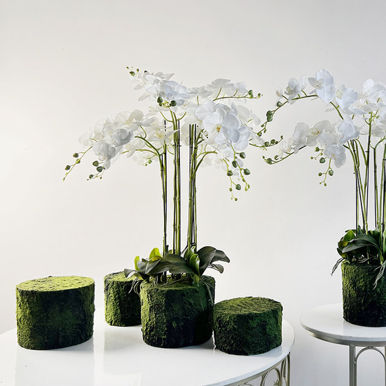 Floral Art Simulation Phalaenopsis Potted Terilihui