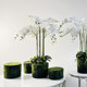 Floral Art Simulation Phalaenopsis Potted Terilihui