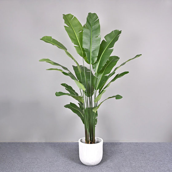 Telihui Free Shipping Simulated Plant Banana Traveler Banana