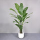 Telihui Free Shipping Simulated Plant Banana Traveler Banana
