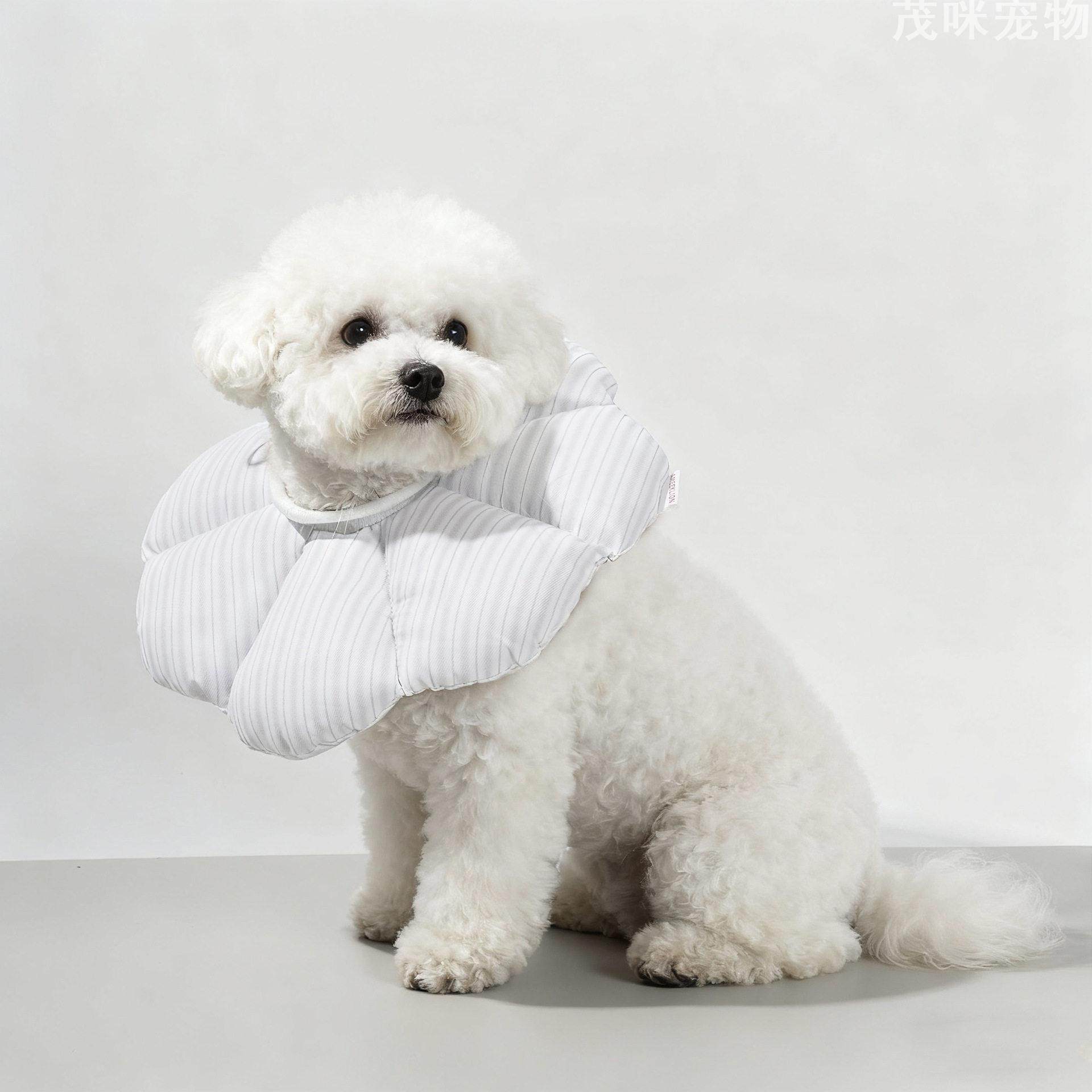 宠物伊丽莎白圈防舔咬猫咪头套可调节小型犬项圈绝育术后保护,淘宝优惠券,粉丝福利购,淘宝优惠卷