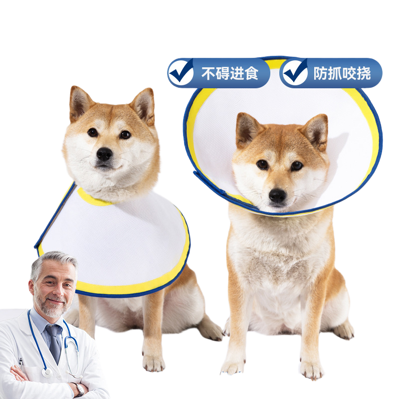 狗狗伊丽莎白圈宠物术后防舔防咬软脖透气超轻保护头猫咪实用设计,淘宝优惠券,粉丝福利购,淘宝优惠卷