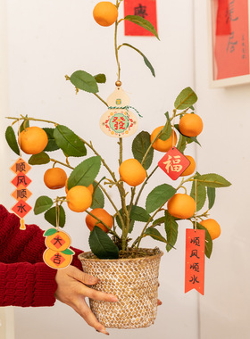 仿真橘子植物盆栽喜庆氛围感装饰