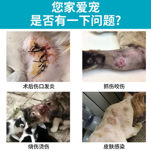 贝里奥百灵金方抑菌液宠物狗狗猫咪伤口喷雾手术愈合抑菌药喷剂膏 - 图0