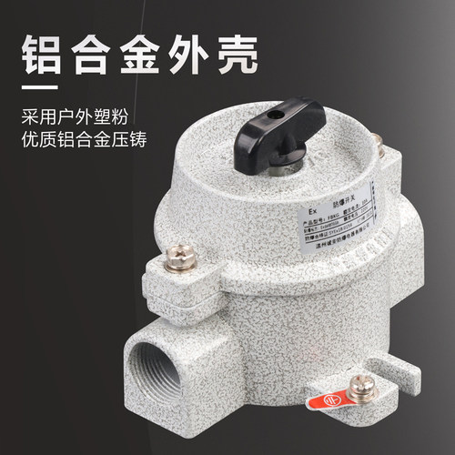 防爆照明开关SW-10防水220V 380V防爆开关墙壁插座10A16A控制按钮 - 图1